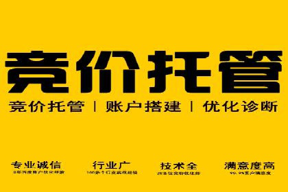 谷歌SEM广告平台的使用技巧：从新手到高手的进阶之路